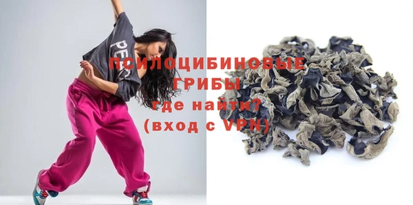 таблы Белокуриха